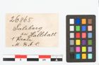 Etikett zu Bernsteinringperle (NHMW-PRAE-026865)
